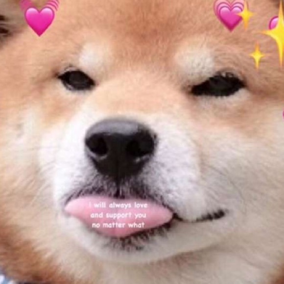 Poshmark profile picture for @considered